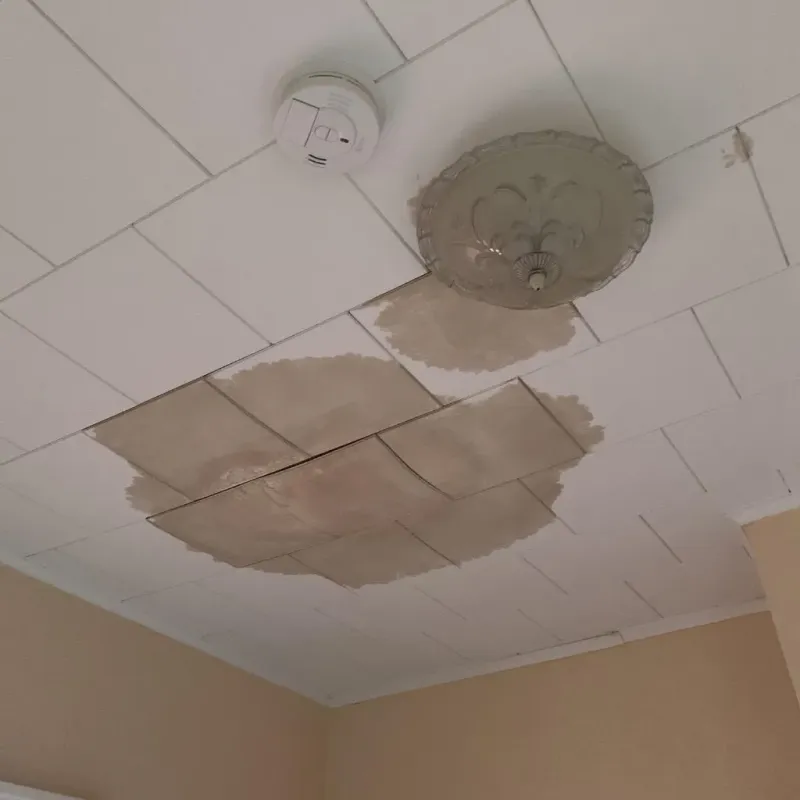 Ceiling Water Damage Repair in Belmont, MS