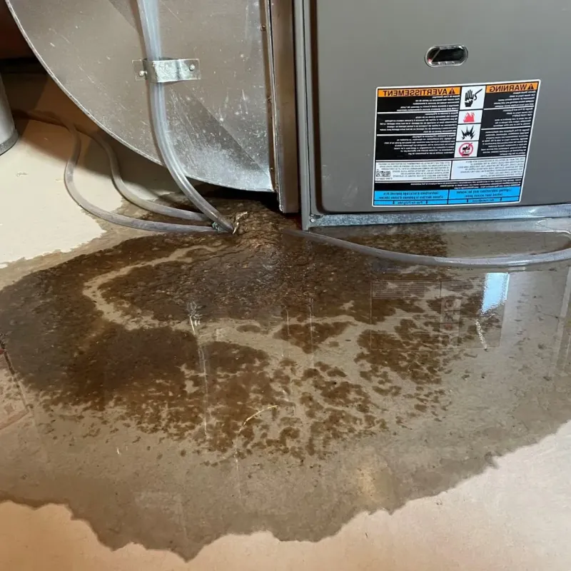 Pipe Burst and Leak Restoration in Belmont, MS