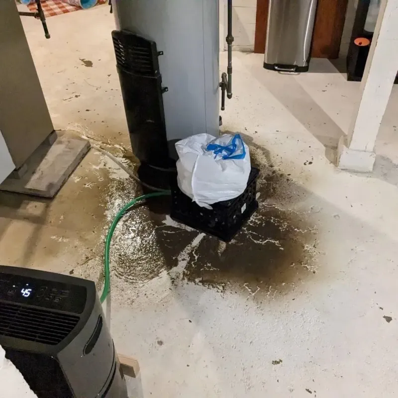 Sewage Backup Cleanup Service in Belmont, MS